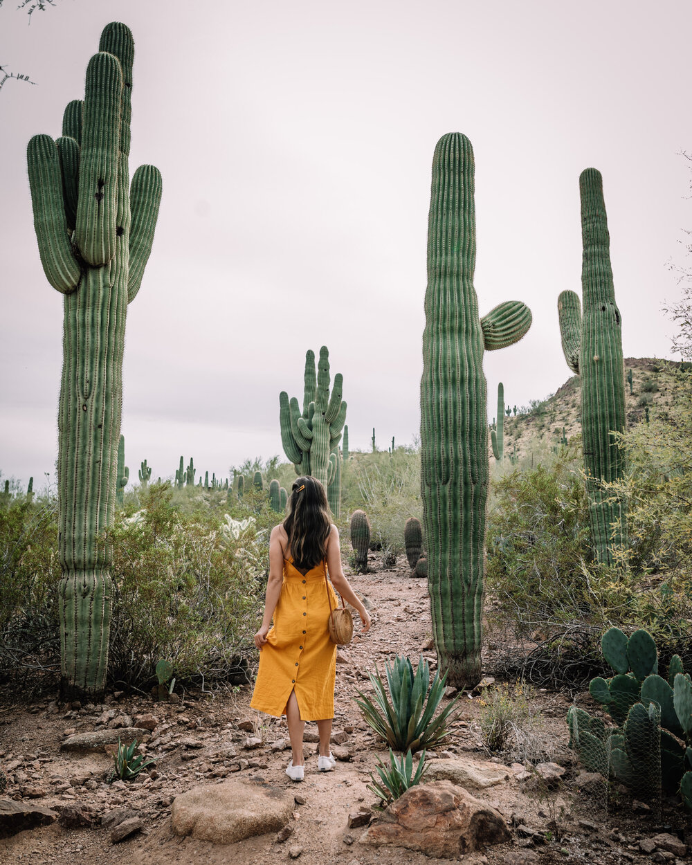 Rachel Off Duty: Woman in Desert Botanical Garden
