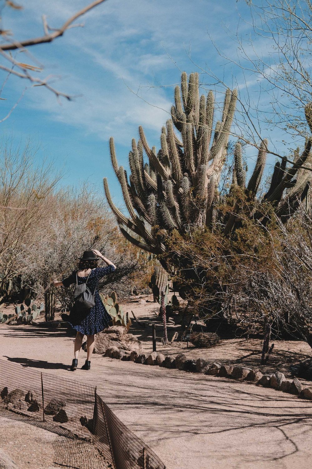 Rachel Off Duty: Botanical Garden in Scottsdale, Arizona