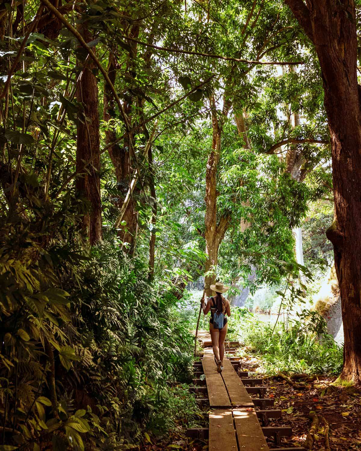 Rachel Off Duty: 5 Day Kaua'i Itinerary – Wailua River Hike to Secret Falls