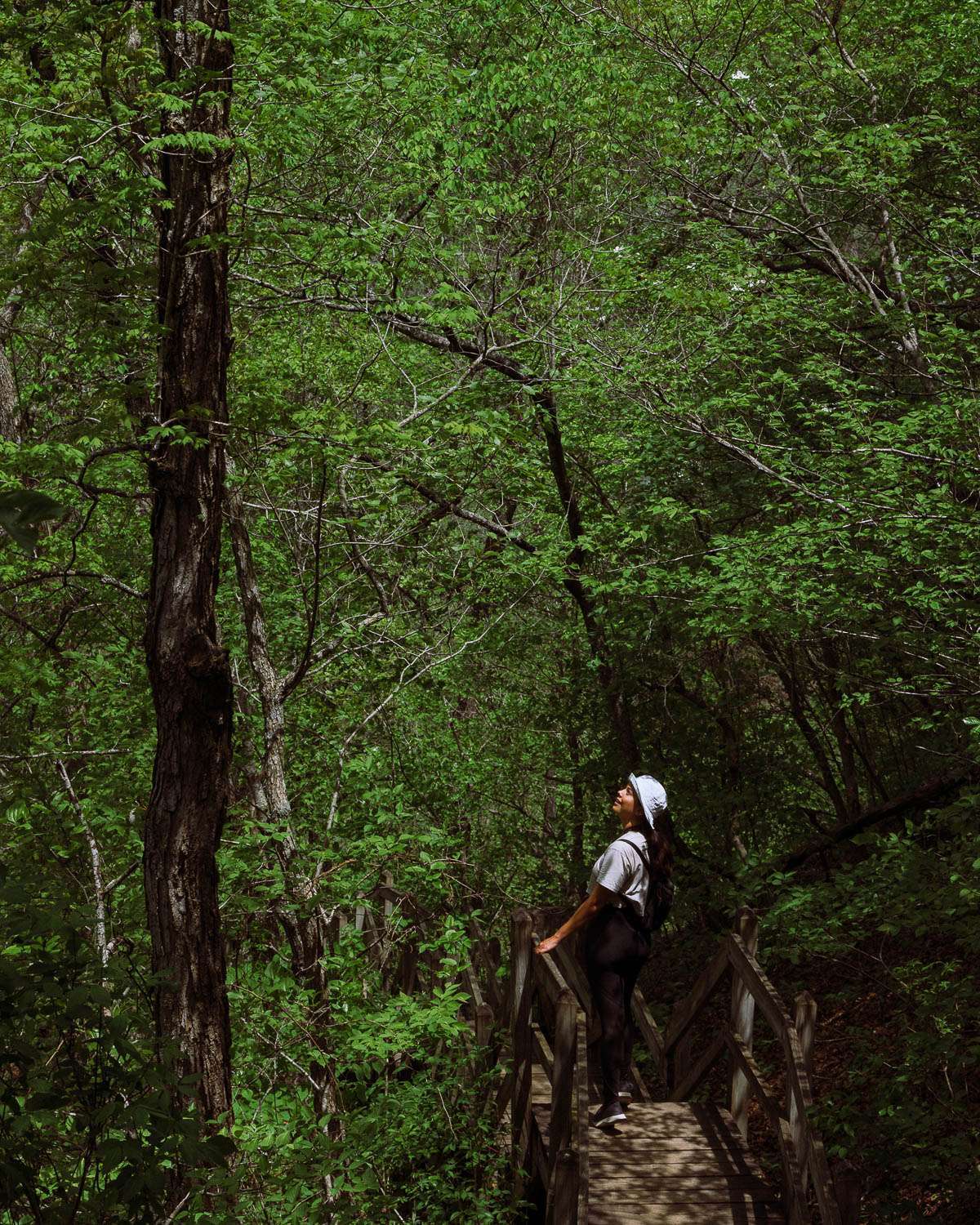 Rachel Off Duty: A Woman Hiking at Ha Ha Tonka State Park