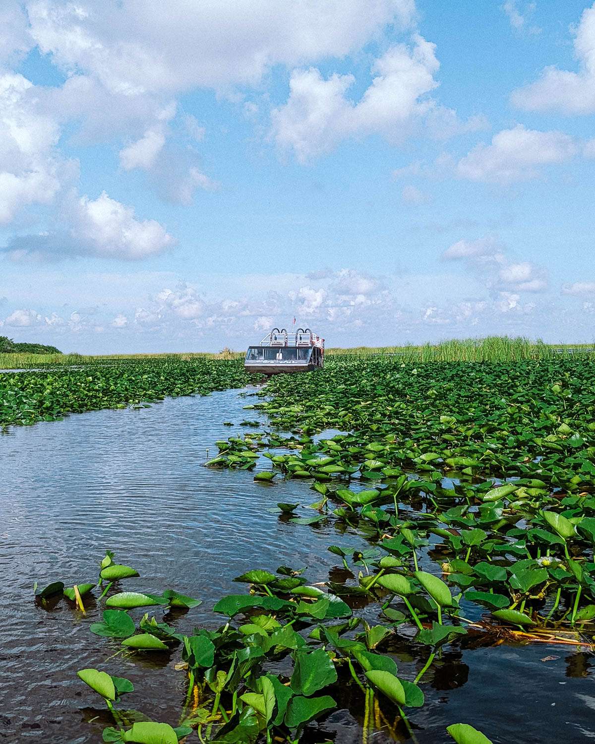 Rachel Off Duty: An Airboat in the Everglades
