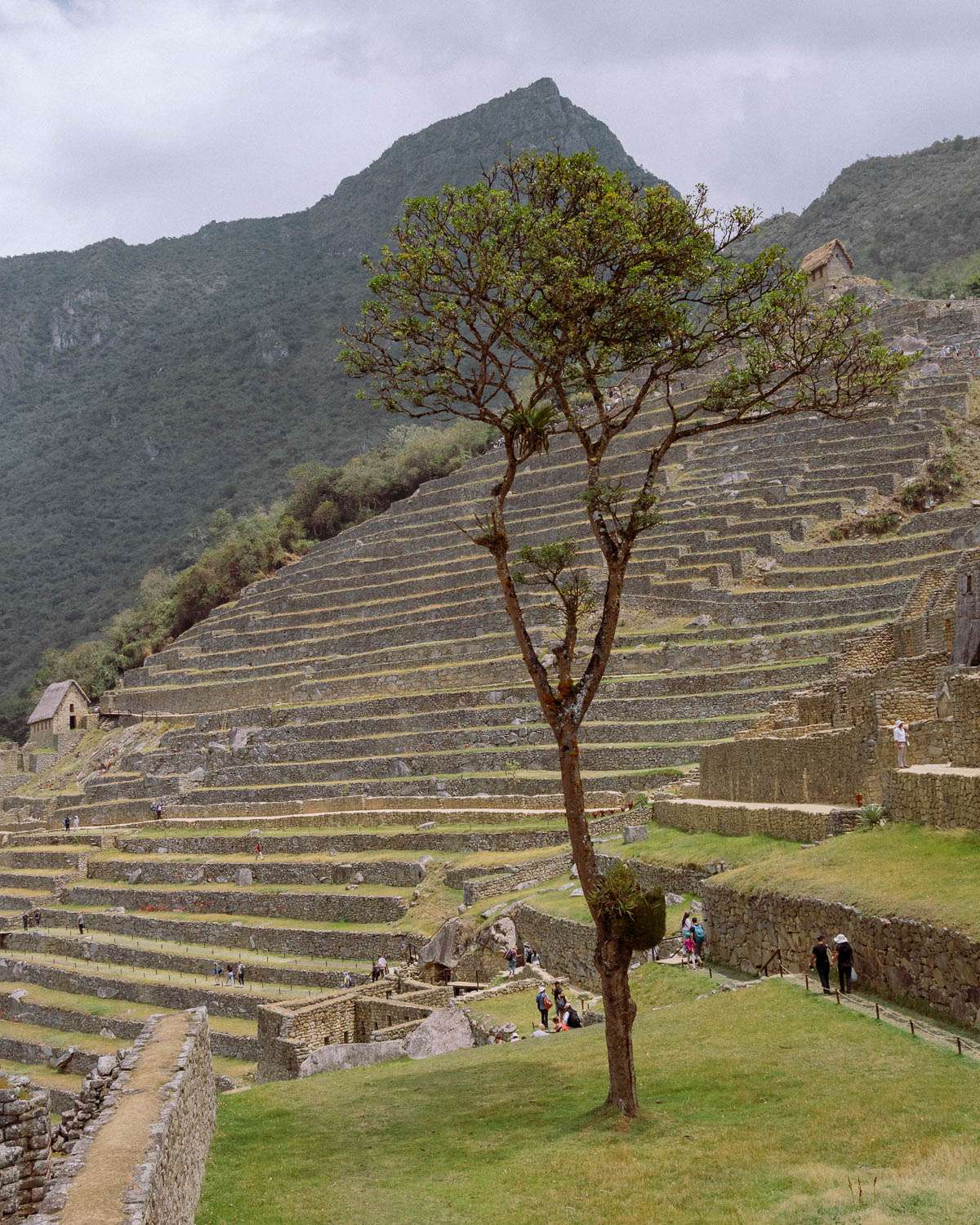 Rachel Off Duty: Solo Female Travel in Machu Picchu, Peru